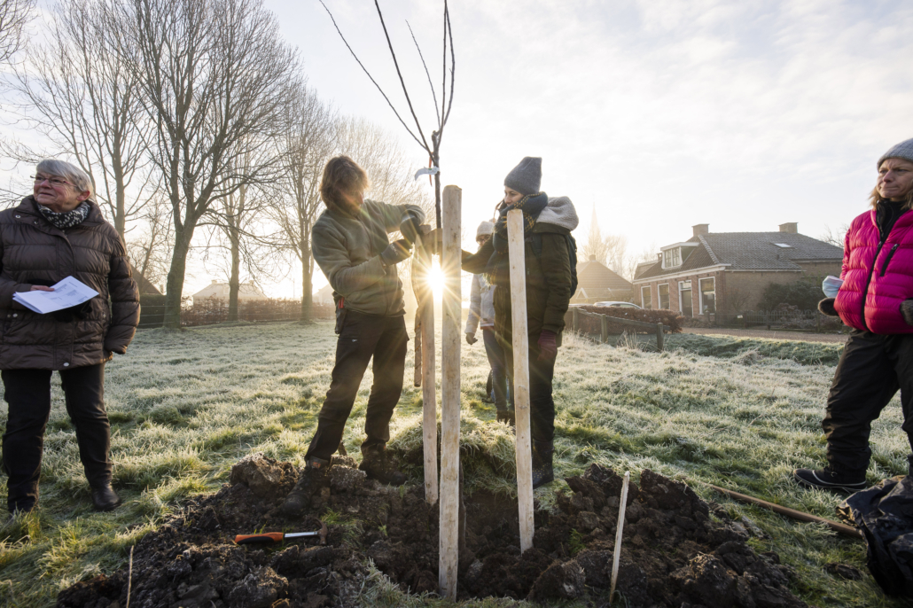 Groen in dorp en stad. Foto: Marcel van Kammen (Kening)