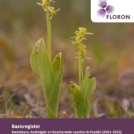 Cover Basisregister