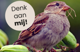 Foto van een mus met de tekst Denk aan mij!