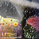 Afbeelding van poster van de bijeenkomst. Dezelfde informatie als die in het artikel staat. Afbeelding is decoratief