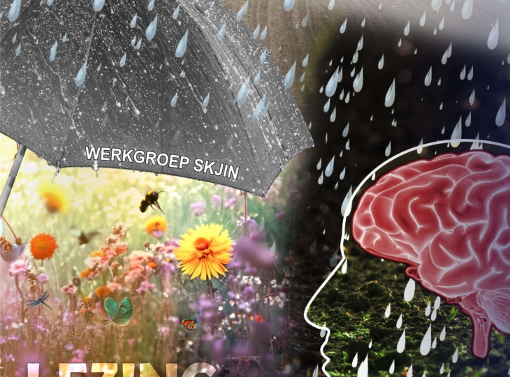 Afbeelding van poster van de bijeenkomst. Dezelfde informatie als die in het artikel staat. Afbeelding is decoratief